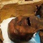 Mistérios do Antigo Egito contados por suas múmias – Parte I