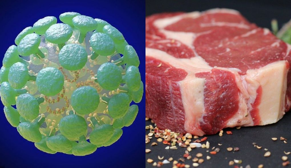 Coronavírus e a carne
